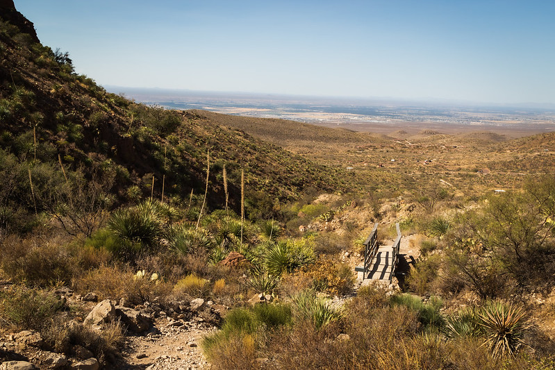 a pathway winding through a desert terrain
